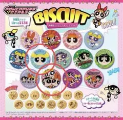 パワーパフガールズ 刺繍缶バッジビスケット