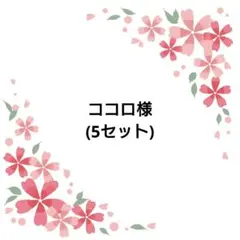 ココロん様 リクエスト 5点 まとめ商品
