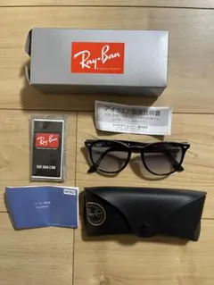 Ray-Ban RB 4259-F 601/19 サングラス