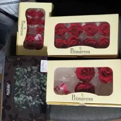 薔薇　ティエラ　レオパルドレッド プリザーブドフラワー 6輪入×5箱セット 薔薇 ティエラ レオパルドボルドー プリザーブドフラワー 6輪入×3箱
