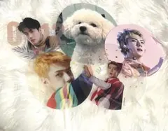 EXO SEHUN セフン うちわ 3種セット - メルカリ