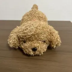 トイプードル ぬいぐるみ