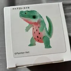 2026年最新】フトアゴンの人気アイテム - メルカリ