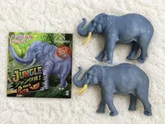 ジャングルアンドコ アジアゾウ スーパーレアビッグ2個セット