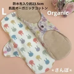 Item thumbnail for item eddc72e7-6cd8-4b0e-bc06-33fa3949a71c