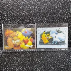 ポケモンセンター　クリアカード　2枚セット　まとめ売り