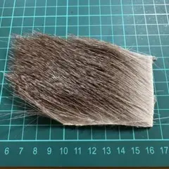 Item thumbnail for item 03109129-b0e9-4096-8dbe-01badbdabf9a