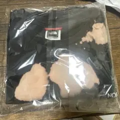 THE NORTH FACE タイダイTシャツ S/P