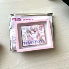 スリーコインズ　りぼん　ときめきトゥナイト　マグネット