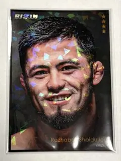 Item thumbnail for item 23a40640-dd81-48eb-ba73-ee9574c0795b