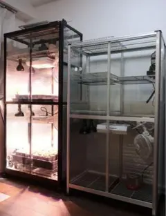 2025年最新】ピカコーポレーション 温室の人気アイテム - メルカリ