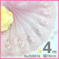 №250816 チュールレース