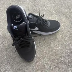 Nike Air Max スニーカー