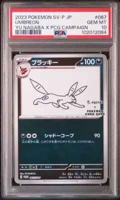 ポケモンカード ブラッキー yu nagaba psa10
