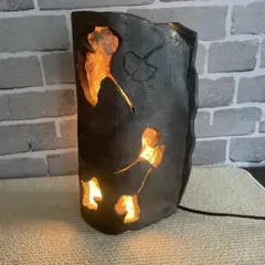 Item thumbnail for item 6924a27e-f0f6-47b5-bb04-58608de0f476