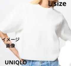 ユニクロ UNIQLO ウォッシャブルミラノリブニット半袖 Ｌ