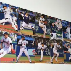 プロ野球チップス 2019  2020 ヤクルトスワローズ