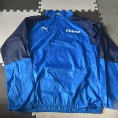 プーマジャージセットアップピステ M