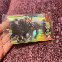 ロゴタイプ M.デムーロ 第73回皐月賞 サラブレッドホースコレクション