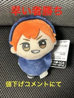 ハイキュー!! ちびぐるみ アニマルポンチョ vol.1 日向翔陽