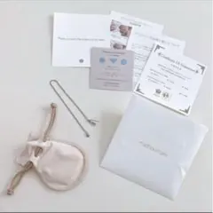 Item thumbnail for item 0044fb3b-c895-4e18-a252-bd3b3d5b4a9b