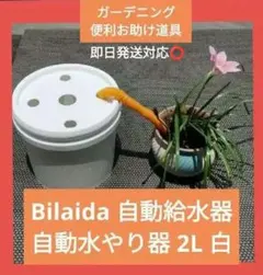 [기간한정] 빌라이다 자동급수기 자동급수기 2L 화이트 자동급수기