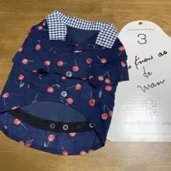 Item thumbnail for item edc70c75-3078-462e-865e-de518c8d915a