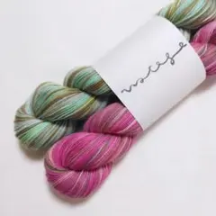 Item thumbnail for item 2eebcc56-6928-4639-8581-914e0c7761d8