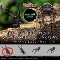 ギラファノコギリクワガタとマンディブラリスフタマタクワガタ オンライン限定全4種 オンライン版 ギラファノコギリクワガタとマンディブラリスフタマタ