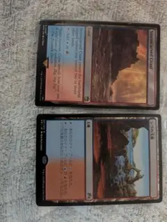 MTG　嵐削りの海岸　シヴの浅瀬　2枚セット