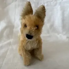 Steiff シュタイフ 砂漠キツネのxorry ちいさな子 最終お値下げ - メルカリ