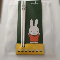 Item thumbnail for item 1e1692da-e7ee-46e8-ba7f-00fb15a57f31