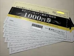 ピカチュウママ様専用東急リゾーツ＆ステイ 施設ご利用券￼1,000円券７枚のサムネイル