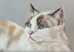 猫の絵◇猫◇新品 美品【水性絵具/パステル/色鉛筆】◇防水&丁寧梱包 