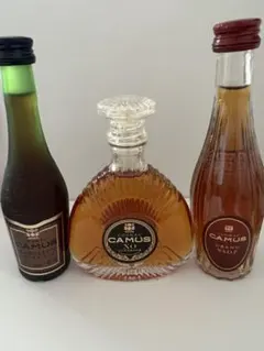CAMUS COGNAC 空ボトル デキャンタ - メルカリ