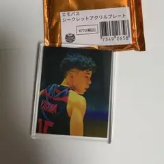 安間志織 アクリルプレート