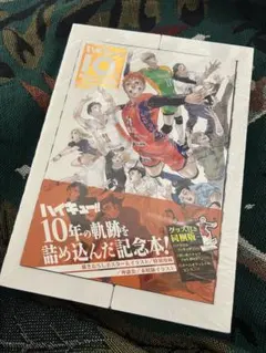 2026年最新】ハイキュー!! 10thクロニクル グッズ付き同梱版の人気