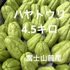 ハヤトウリ21kg 2025年最新】ハヤトウリの人気アイテム - メルカリ