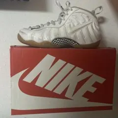 ジ*プ様 NIKE Foamposite ホワイト/グレー