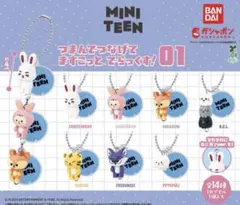 MINI TEEN つまんでつなげてますこっとでらっくす【セミコンプ6個