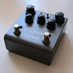 strymon El Capistan dTape Echo 本体 - メルカリ