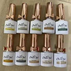 プチプラ　チアジェル ジェルポリッシュ 10本セット　新品　ジェルネイル