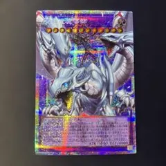 究極竜魔導師　オーバーフレームプリズマティックシークレットレア