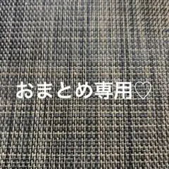 プチトマトｍａｍａちゃま様 リクエスト 2点 まとめ商品