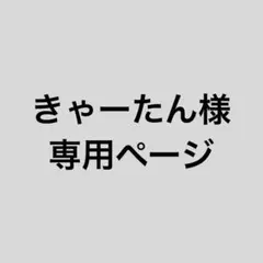 きゃーたん様専用ページ