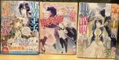 置物王妃の白い婚姻 追放王子と蜜蜂の花嫁 かけだし女官は溺愛魔術師のご主人さま