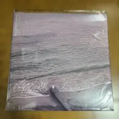 カネコアヤノ ラッキー／さびしくない 10インチ レコード アナログ盤 カネコアヤノ ラッキー／さびしくない 10インチ レコード アナログ盤