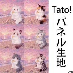 Tato !(=^・^=)パネル生地 夕焼けの渚と星の欠片 D250