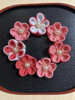 Item thumbnail for item ee96c578-af2c-4d75-b321-c2a90d388a18