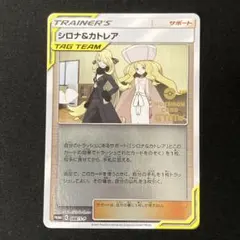 2026年最新】088/S-P シロナ&カトレアの人気アイテム - メルカリ